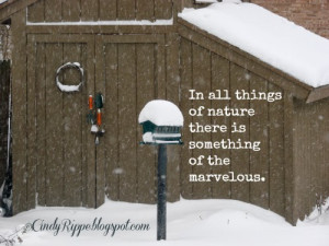 Garden in Winter, Garden Shed, Birdhouse with snow, Aristotle quote ...