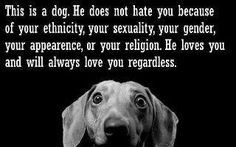 This is a dog. He does not hate you because of your ethnicity, your ...