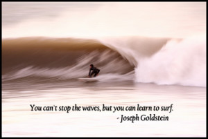 Learn to surf...