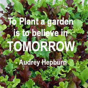 To say nothing of the food you will have! Plant a garden today.