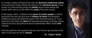 Dr Gabor Mate Quotes