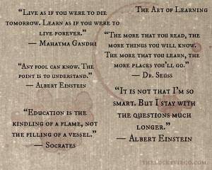 Art of Learning Quotes