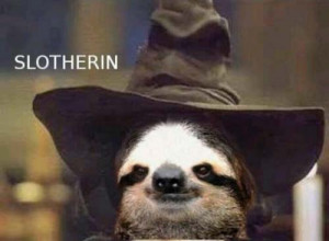 Top 10 Simple Yet Amazing Harry Potter Puns