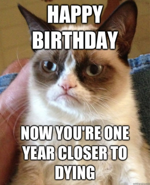 Happy Birthday Cat Meme