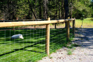 Farm and Ranch Fence Gates