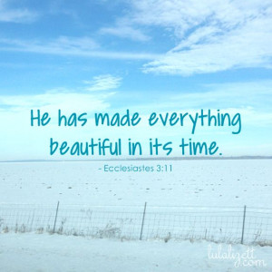 ... World, Bible Quote About Beautiful, The Bible, Ecclesiastes 3 11