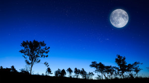 Beautiful full moon starry night wallpaper