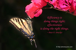 Quotes About Effectiveness