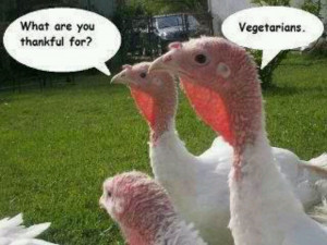 thanksgiving humor, vegetarians and turkeys