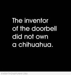 funny quote the inventor of the doorbell did now own a chihuahua More