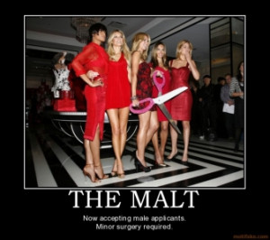 the-malt-malt-demotivational-poster-1263226644.jpg