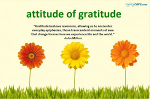 Gratitude bestows reverence allowing us to encounter everyday ...