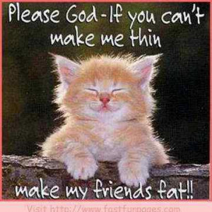 Very Cool Ironic Wish Sent To God Funny Life Quote Kitty Picture