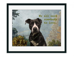 Love Quote Photographic Pit Bull dog portait by KneeDeepOriginals, $30 ...