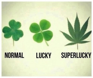 quotes #sayings #wisdom Super Lucky, Funny Shit, Funny Stuff, Potleaf ...