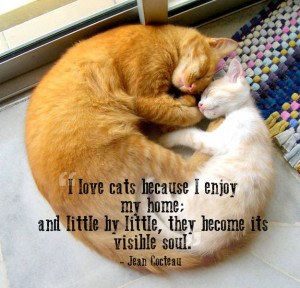 quotes that will make you want to hug your pet