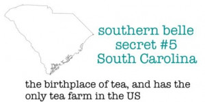 Southern Belle Quotes | southern belle secret #5 South Carolina