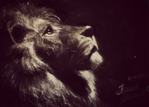 Lion Quotes Strength Lion quotes strength for lion
