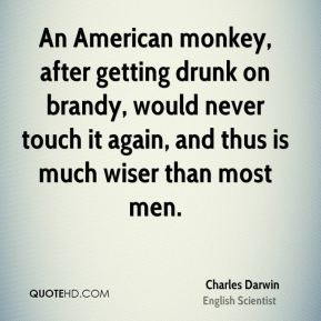 An American monkey, after getting drunk on brandy, would never touch ...