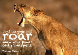 Lioness And Cubs Quotes