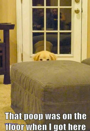 The picture that made my day ...