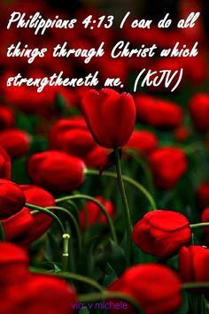 ... things through Christ which strengtheneth me. ~ Philippians 4:13 KJV