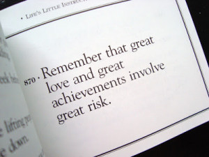 Remember That Great Love And Great Achievement Involve Great Risk