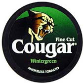 Buy Cheap Skoal Original Fine Cut Wintergreen Chewing Tobacco