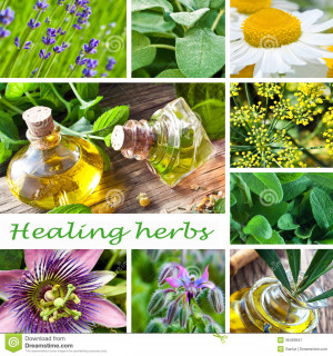 Healing With Plants And Herbs