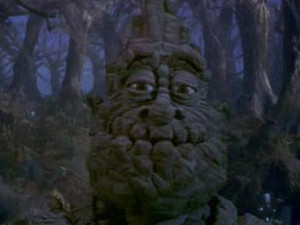 AND DEFIANTLY NOT THIS ONE!