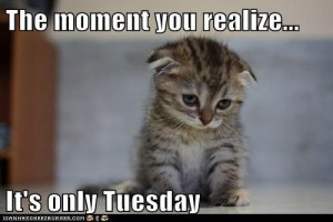 184746-The-Moment-You-Realize-It-s-Only-Tuesday.jpg