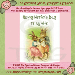 Happy Mother's Day to my Wife