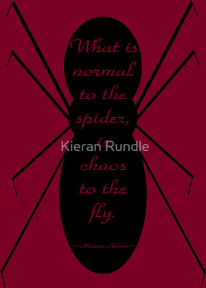Kieran Rundle › Portfolio › Morticia Addams Spider Quote