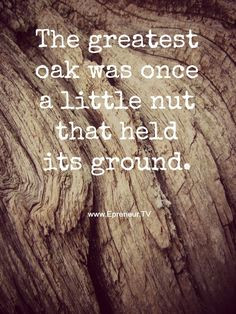 The greatest oak was once a little nut that held its ground #quote # ...