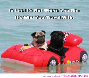 life-who-you-travel-with-quote-cute-funny-animal-dogs-pictures-quotes ...