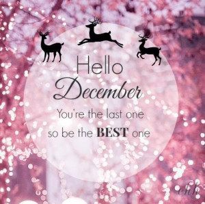 December, surprise me