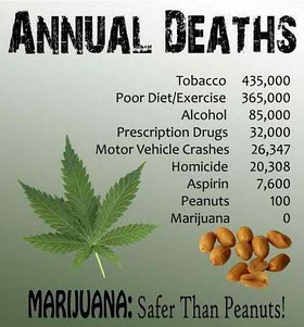 Weed Day Poster -peanuts and marijuana