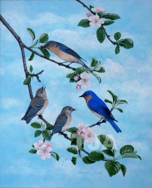 Bluebird of Happiness Poem