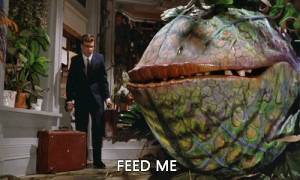 Feed The Monster Fly Eating Plant In Little Shop Of Horrors