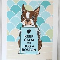 boston terrier sayings | Love Boston Terriers | Quotes :: Smile ...