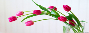pink tulip timeline cover flowers timeline cover timeline covers pink ...