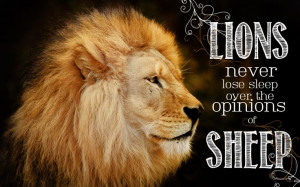 lions never lose sleep over the opinions of sheep