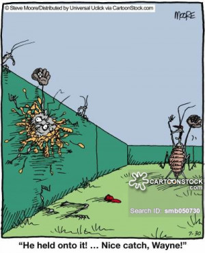 Related Pictures funny cockroach pictures images quotes just jpg