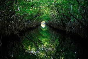 Found on democraticunderground.com