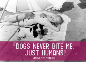Cool Quotes That Will Make You Appreciate Your Pets (21 pics)