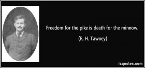 Freedom for the pike is death for the minnow. - R. H. Tawney