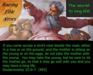 Amazing Bible Verses: The Secret to Long Life!