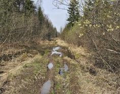 Harriet Tubman & The Underground Railroad: a Reader's Theater Script