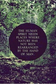 The human spirit needs places where nature has not been rearranged by ...