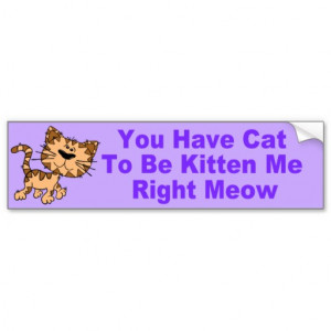 Funny Cat Quote Bumper Sticker